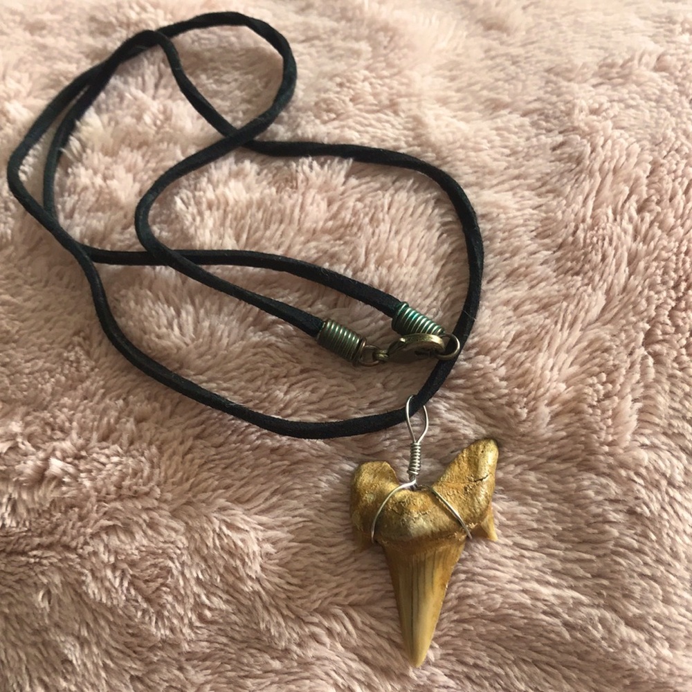 Shark tooth necklace
